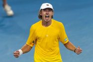 aop_deminaur29.14304686